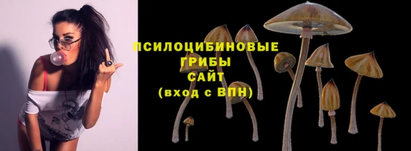 PSILOCYBIN Богданович